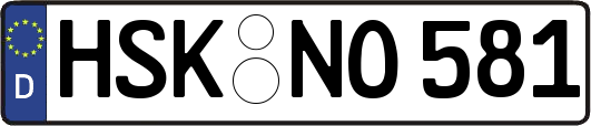 HSK-NO581