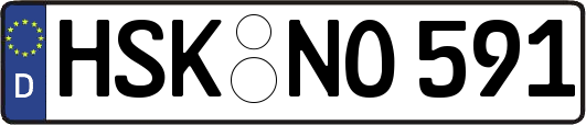 HSK-NO591