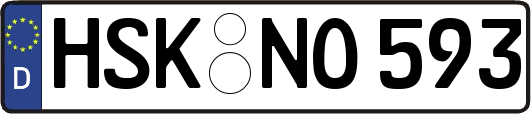HSK-NO593