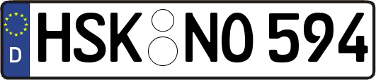 HSK-NO594
