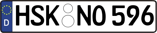 HSK-NO596