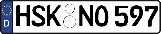 HSK-NO597