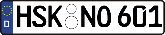 HSK-NO601