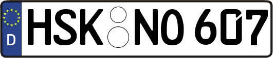HSK-NO607