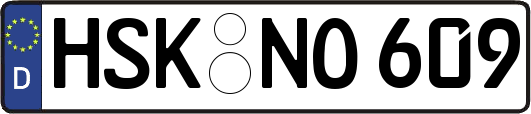 HSK-NO609
