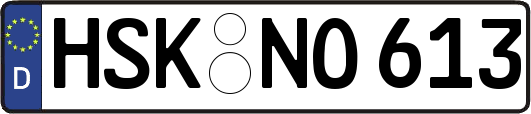 HSK-NO613