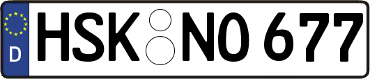 HSK-NO677