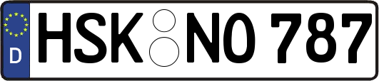 HSK-NO787