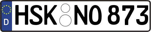 HSK-NO873