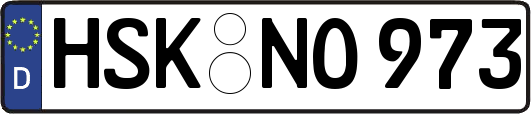 HSK-NO973