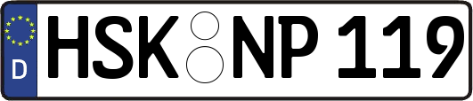 HSK-NP119