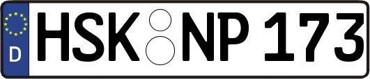 HSK-NP173