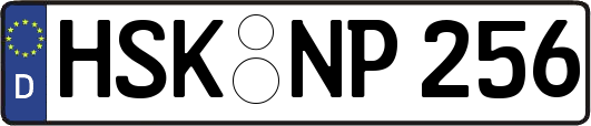 HSK-NP256