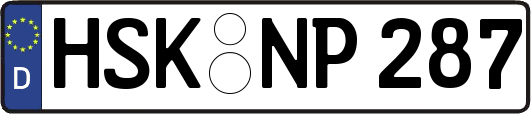 HSK-NP287