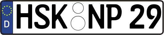 HSK-NP29