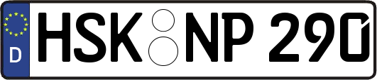 HSK-NP290