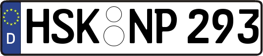 HSK-NP293