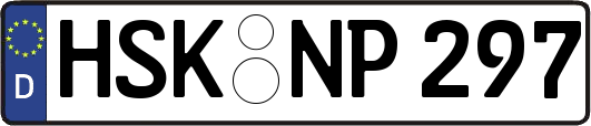 HSK-NP297