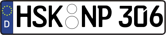 HSK-NP306