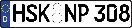 HSK-NP308