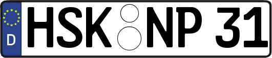 HSK-NP31
