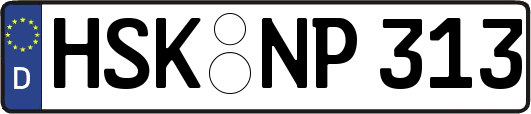 HSK-NP313