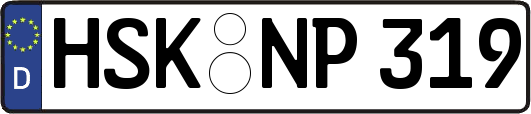 HSK-NP319