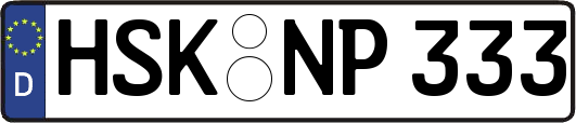 HSK-NP333