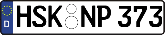 HSK-NP373