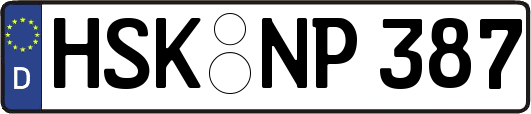 HSK-NP387