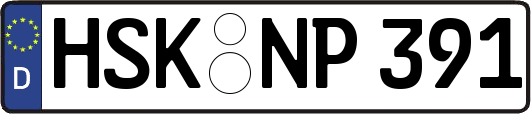 HSK-NP391