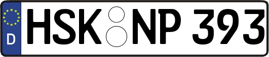 HSK-NP393