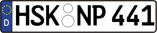 HSK-NP441