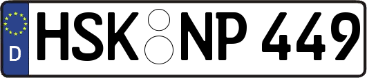 HSK-NP449