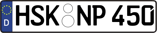 HSK-NP450