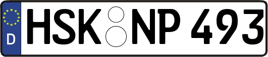 HSK-NP493