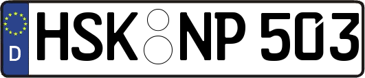 HSK-NP503