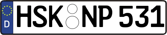 HSK-NP531