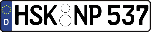 HSK-NP537