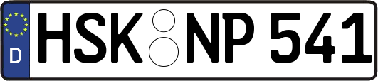 HSK-NP541