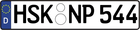 HSK-NP544