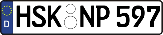 HSK-NP597