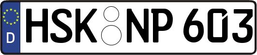HSK-NP603