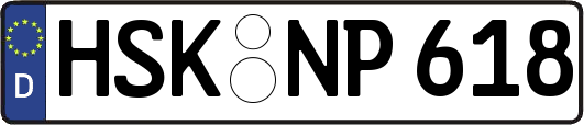 HSK-NP618