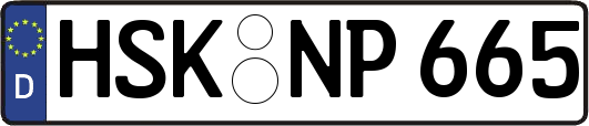 HSK-NP665