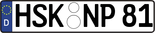 HSK-NP81