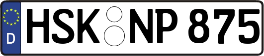 HSK-NP875