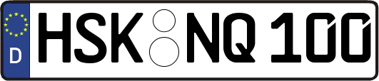 HSK-NQ100