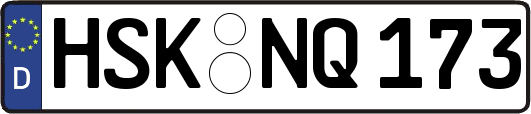 HSK-NQ173