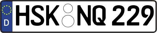 HSK-NQ229